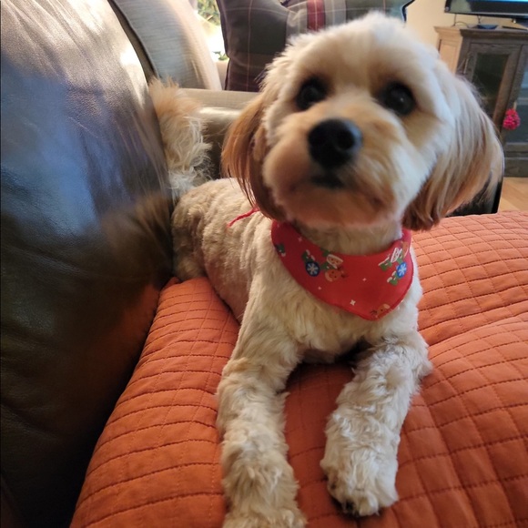 Clothes, jewelry, electronics and other items. New drops every week. Read bio! - Picture 2 of 4